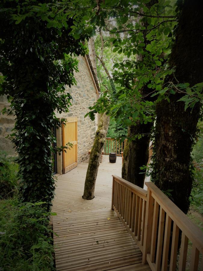 Domaine Des Marequiers Chambre Pimprenelle Saint-Germain-du-Teil Exterior photo